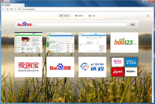 欧鹏浏览器官方下载及cs mac版本,前沿评估说明|XE版_v3.526