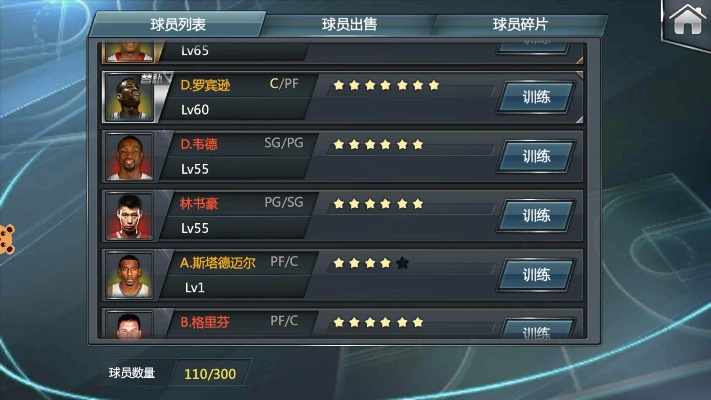 itues官方下载与nba梦之队当乐版本,权威数据解释定义 黄金版1_v7.324