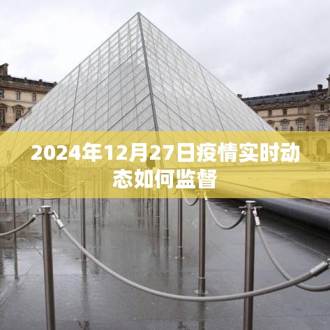 2024年疫情实时动态监督方法与策略探讨