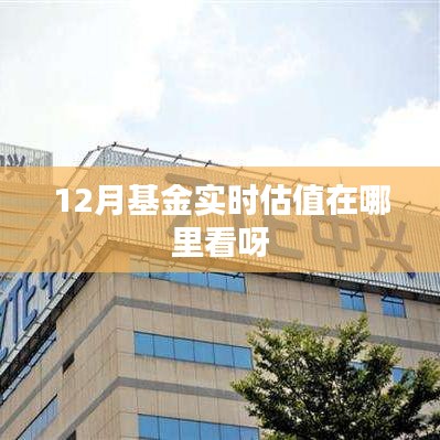 12月基金实时估值查看指南