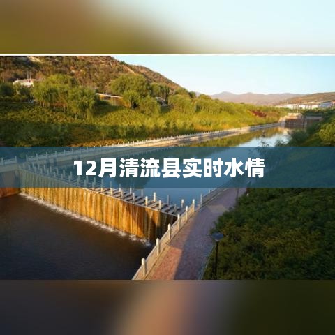 清流县实时水情报告,最新水情监测数据发布