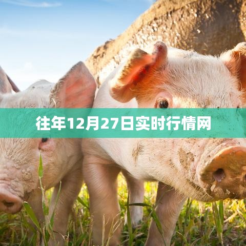 往年12月27日股市实时行情一网打尽