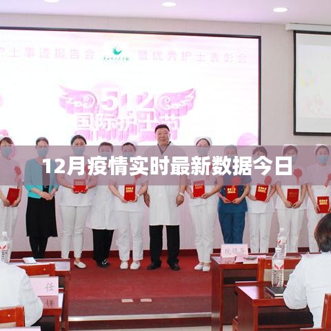 最新疫情数据报告，今日12月疫情实时更新概况
