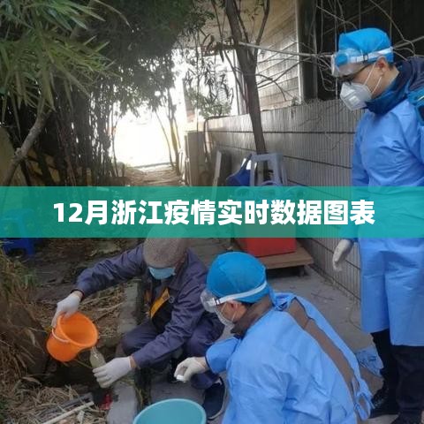 浙江疫情实时数据图表分析