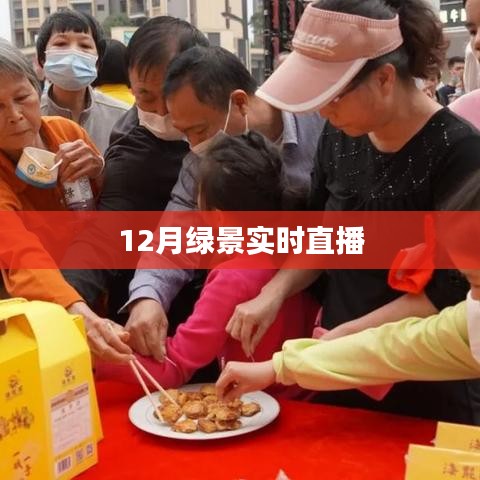 绿景十二月实时直播全景展示