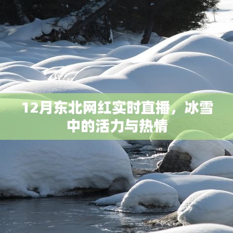 东北网红冰雪直播，活力与热情的碰撞