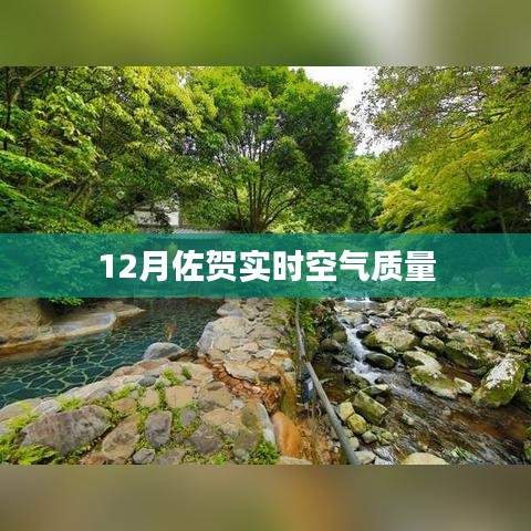 佐贺实时空气质量监测报告