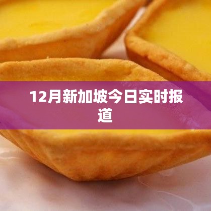 新加坡最新新闻报道今日更新