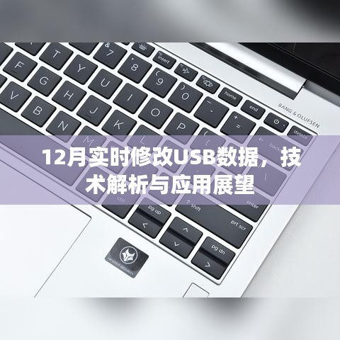USB数据实时修改技术解析与应用展望(12月更新)