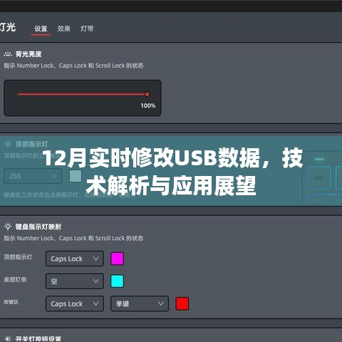 USB数据实时修改技术解析与应用展望(12月更新)
