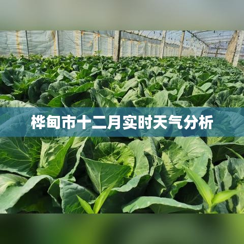 公司简介 第285页