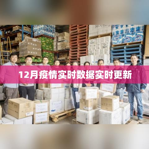 12月疫情实时数据更新,最新动态掌握