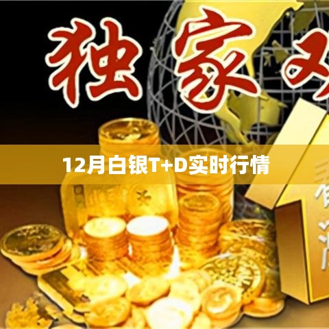 白银T+D行情实时更新