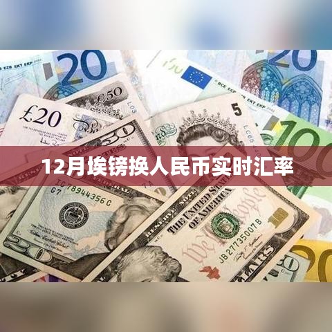 埃镑兑换人民币汇率实时查询