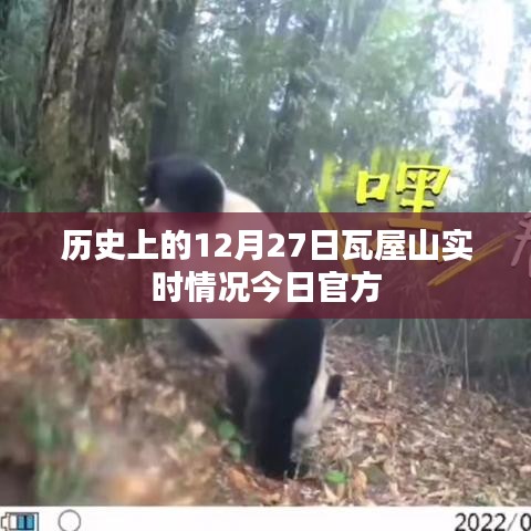 合作伙伴 第293页