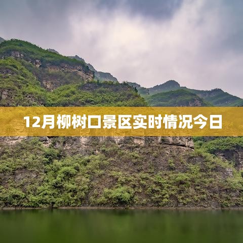 12月柳树口景区最新实时概况
