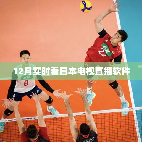 合作伙伴 第291页