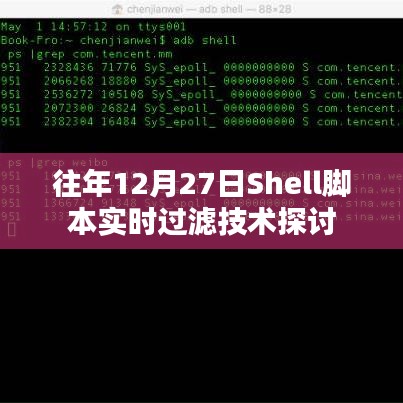 Shell脚本实时过滤技术探讨，历年12月27日回顾