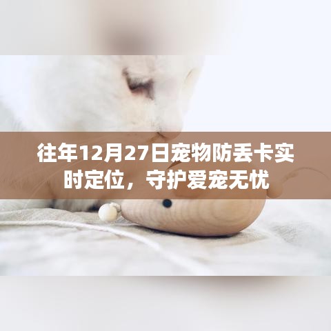 宠物防丢卡实时定位守护无忧，历年12月27日重点关注