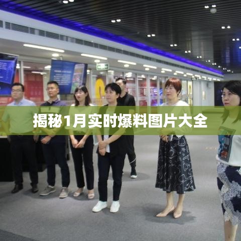 揭秘一月最新爆料图片集萃