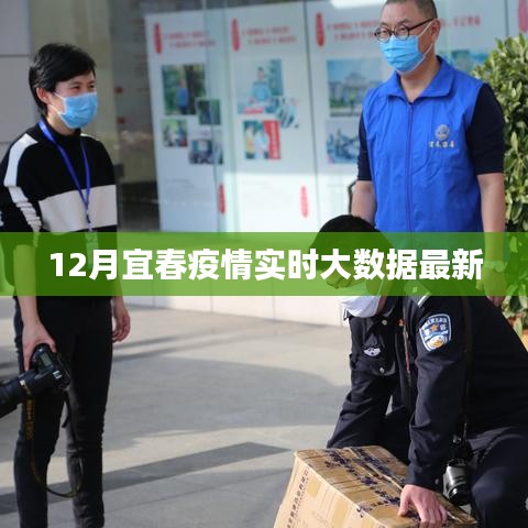 宜春疫情实时大数据报告,最新动态分析