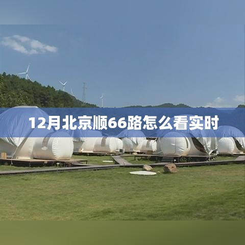 北京顺66路公交车实时查询指南