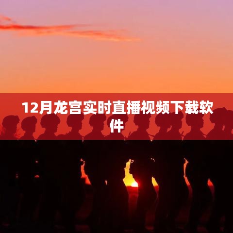 龙宫直播视频下载软件，12月实时观看