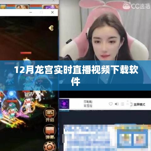 龙宫直播视频下载软件,12月实时观看