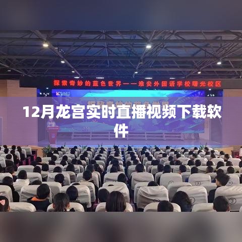 龙宫直播视频下载软件,12月实时观看