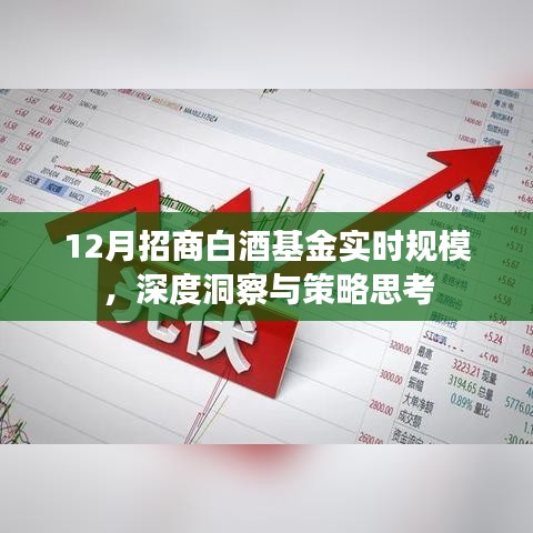 深度洞察白酒基金规模,策略思考与实时动态分析