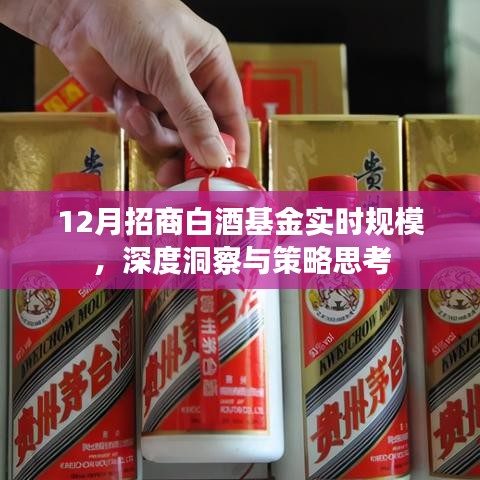 深度洞察白酒基金规模，策略思考与实时动态分析