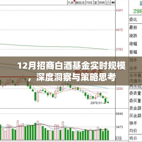 深度洞察白酒基金规模,策略思考与实时动态分析