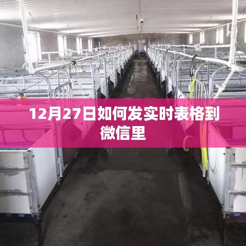 12月27日微信实时表格分享攻略
