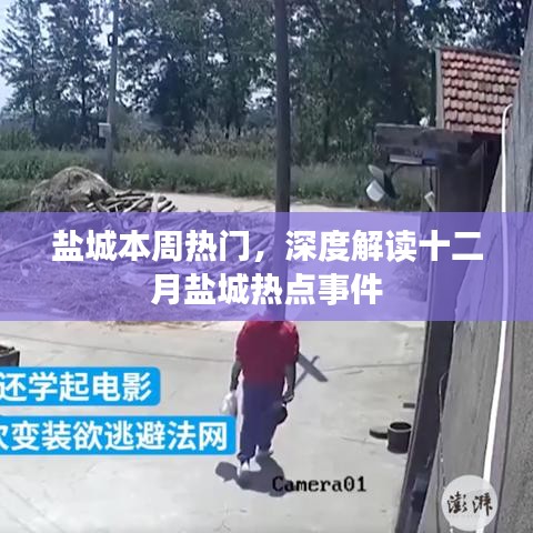 盐城十二月热点事件深度解读,本周热门事件回顾