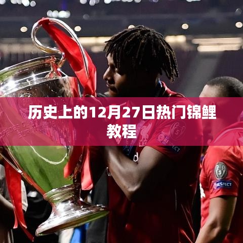 12月27日历史锦鲤教程,热门技巧一网打尽