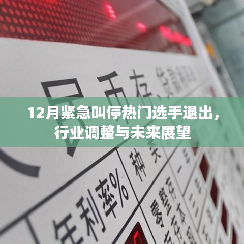 热门选手退出引发行业调整，未来展望与趋势分析