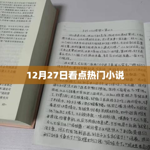 12月27日热门小说看点速递