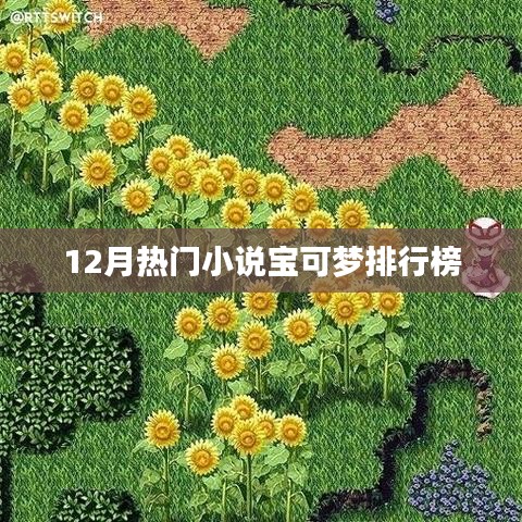 12月热门宝可梦小说排行榜