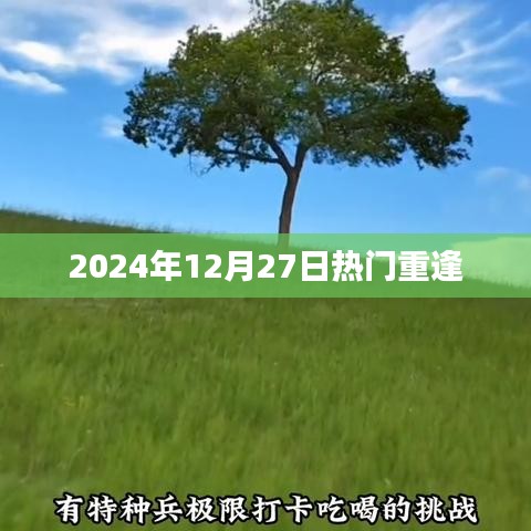 公司简介 第276页