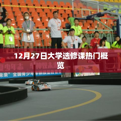 12月27日大学选修课热门概览,课程选择与趋势分析
