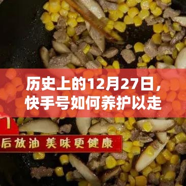 快手号养护策略，走向热门，揭秘12月27日历史机遇