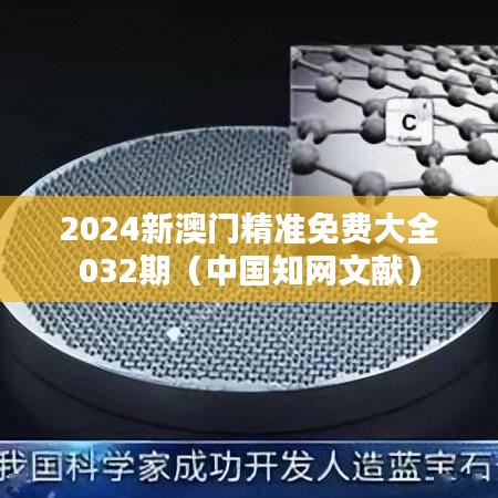2024新澳门精准免费大全032期（中国知网文献）