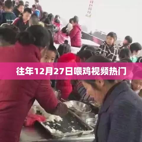 年终喂鸡盛况，12月27日视频火热上线