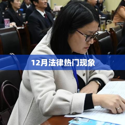 法律热点聚焦，十二月热点事件解析