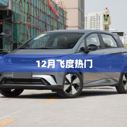飞度十二月热点聚焦