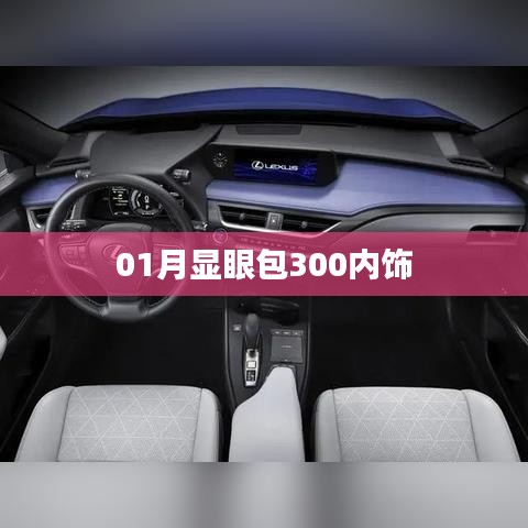 01月显眼包内饰细节大揭秘