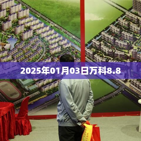 万科未来展望，2025年1月重磅动作揭秘