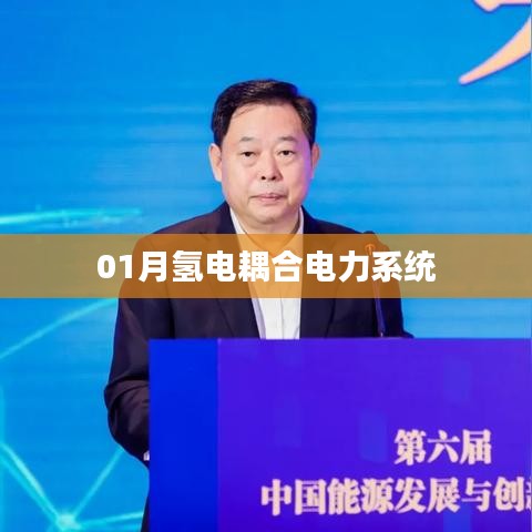 氢电耦合电力系统一月动态分析