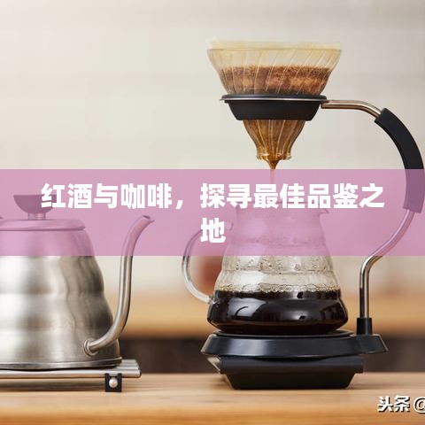红酒与咖啡,探寻最佳品鉴场所