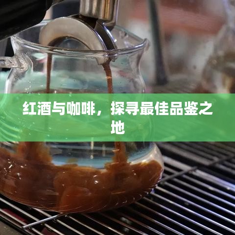红酒与咖啡,探寻最佳品鉴场所
